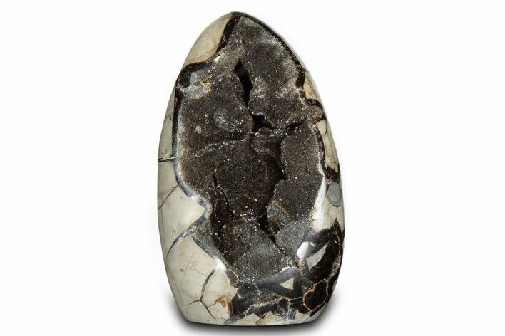 Free-Standing, Polished Septarian Geode - Black Crystals #302868